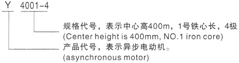 西安泰富西玛Y系列(H355-1000)高压YE2-355M2-8三相异步电机型号说明