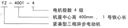 YR系列(H355-1000)高压YE2-355M2-8三相异步电机西安西玛电机型号说明